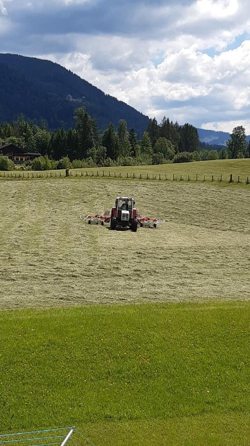 Wiesingbauer Saalfelden Dış mekan fotoğraf