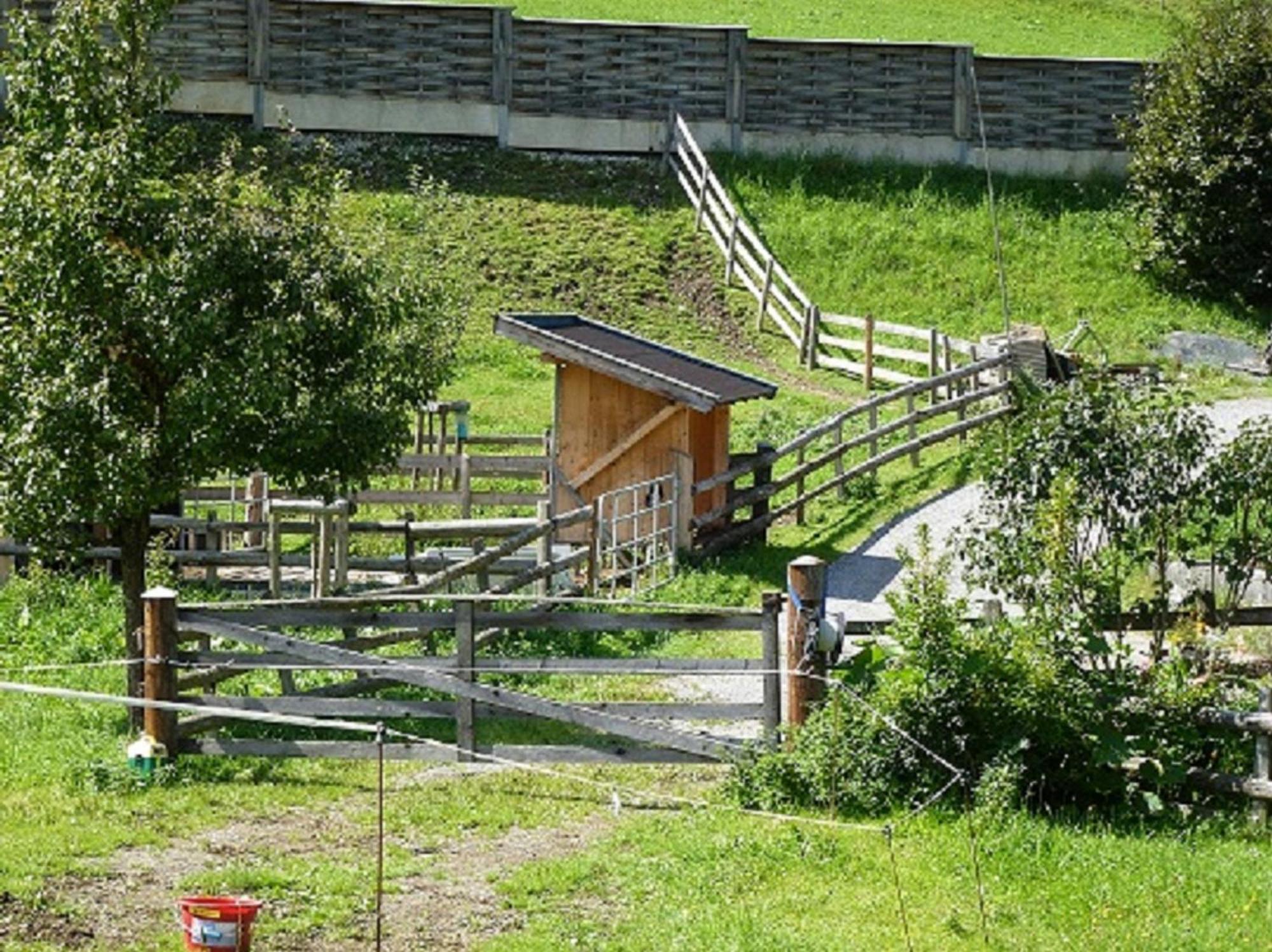 Wiesingbauer Saalfelden Dış mekan fotoğraf
