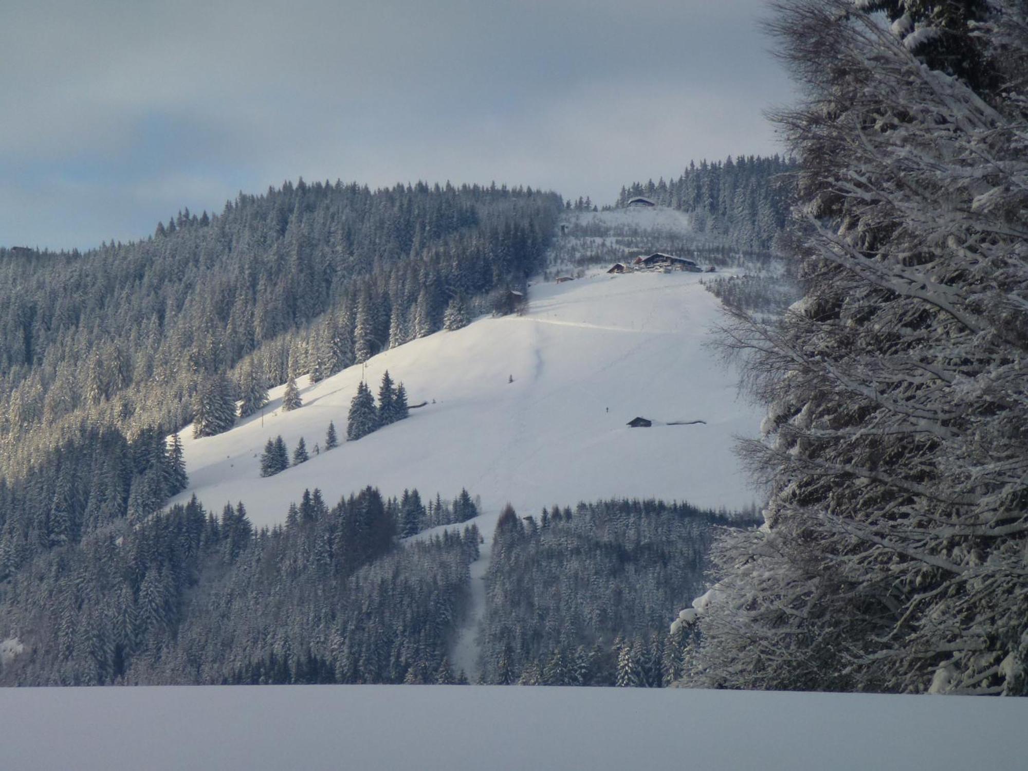 Wiesingbauer Saalfelden Dış mekan fotoğraf