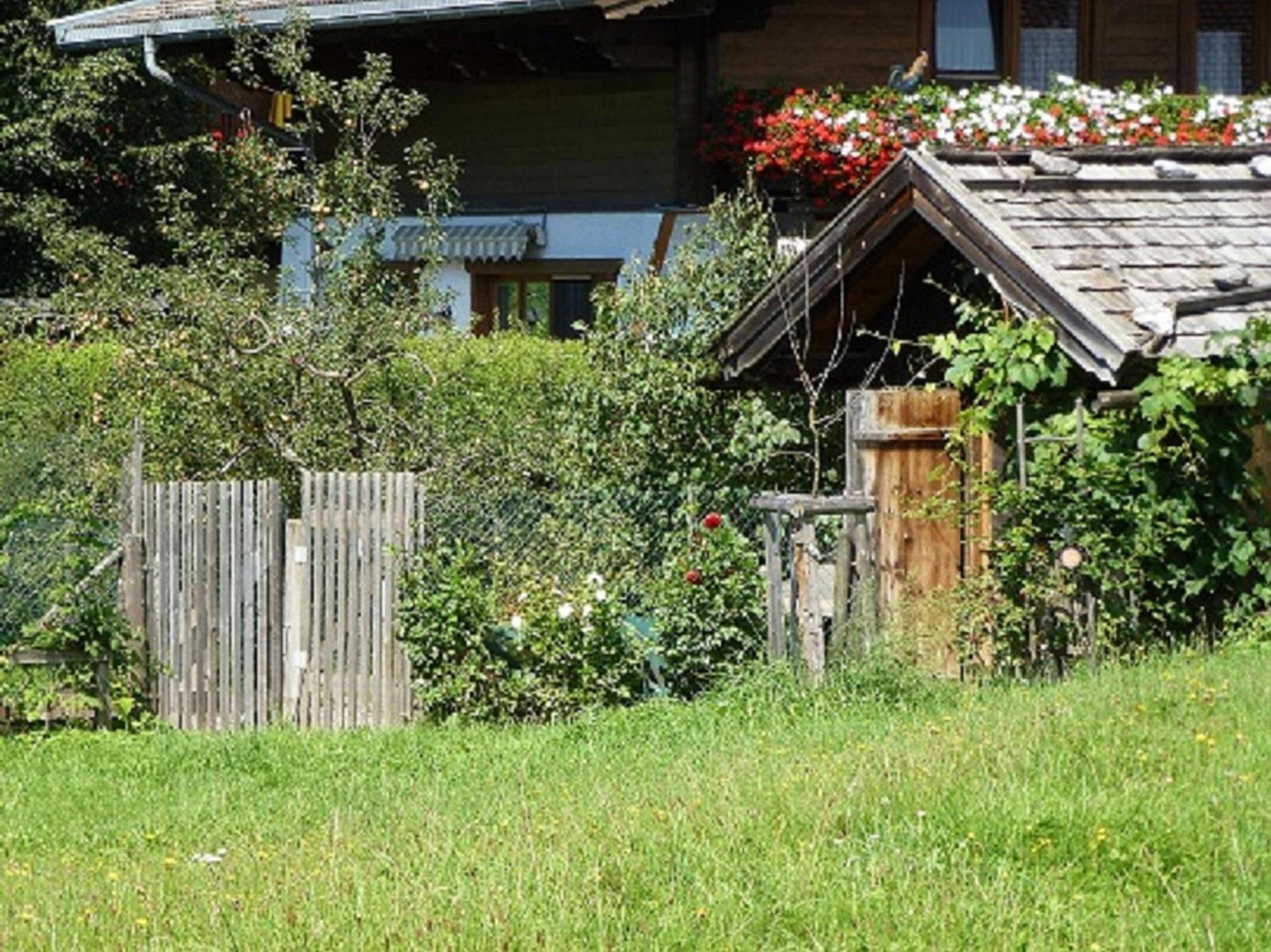 Wiesingbauer Saalfelden Dış mekan fotoğraf